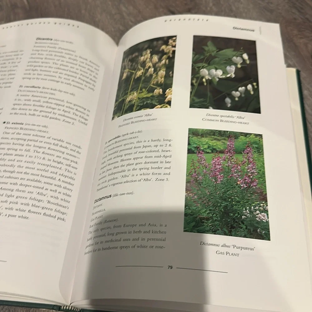 Perennials - Picture 3 of 3